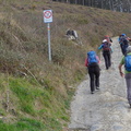 Mendaro (209)